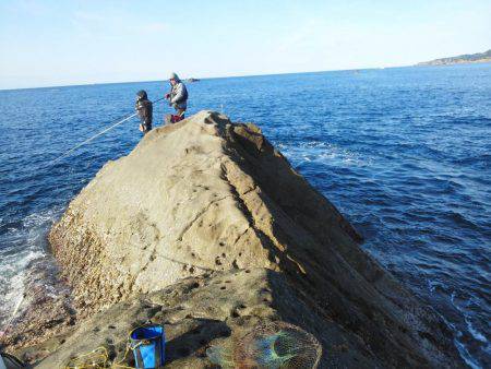 こんなん出ました・・・グレ