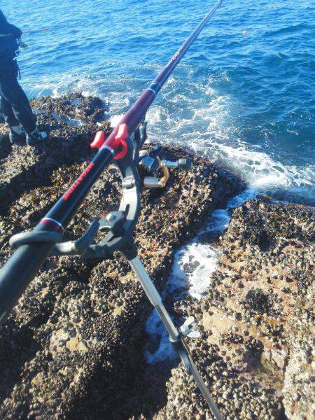 こんなん出ました・・・グレ