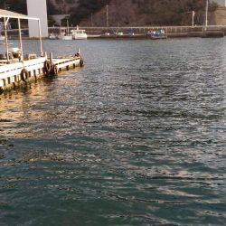 メバリングのはずが