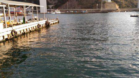 メバリングのはずが