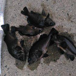 アミパターン攻略