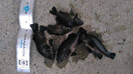 アミパターン攻略