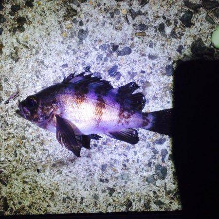 フロートリグで