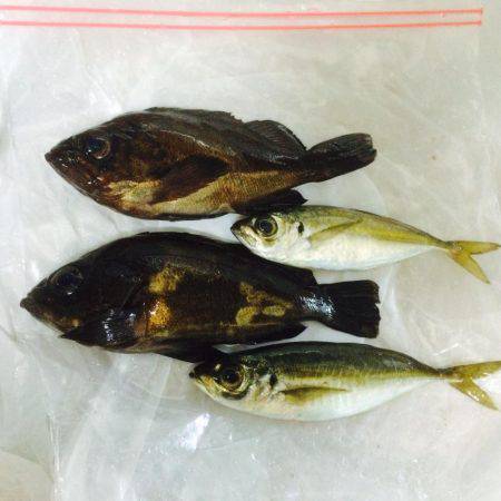 メバリングとアジング