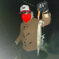 敦賀ヤリイカ開幕?