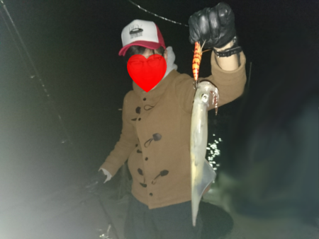 敦賀ヤリイカ開幕?