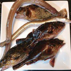 釣り部で舞洲へ