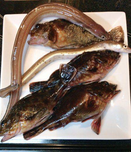 釣り部で舞洲へ