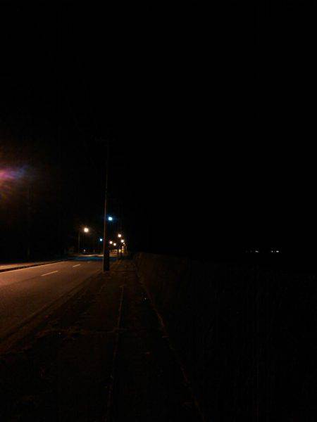 廿日市護岸  好調メバルプラッキング