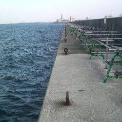 初釣りの結果は・・・無事タコ上げが出来ました!