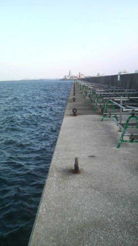 初釣りの結果は・・・無事タコ上げが出来ました!