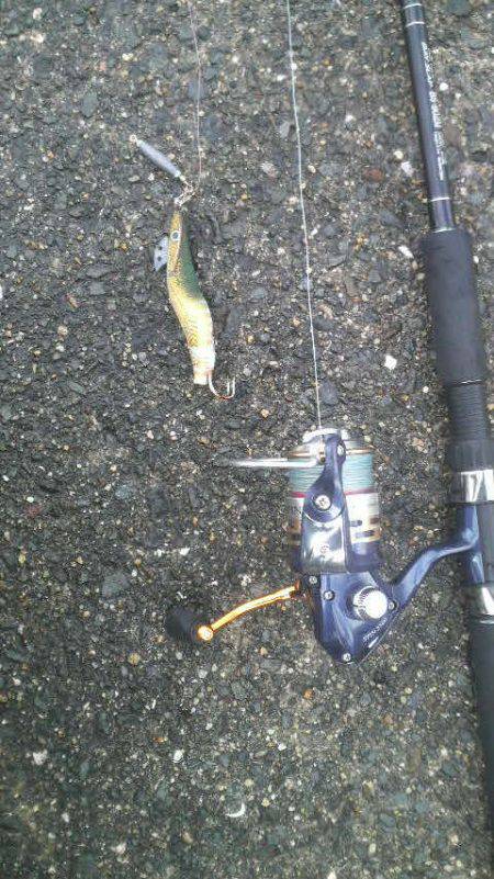 今年になって４匹の釣果です！