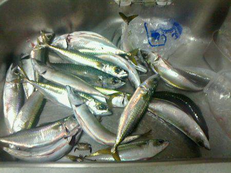 またまた行ってしまいました