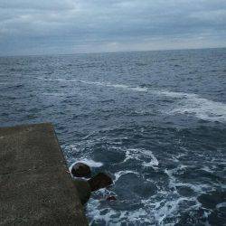 アジング  メバリング？