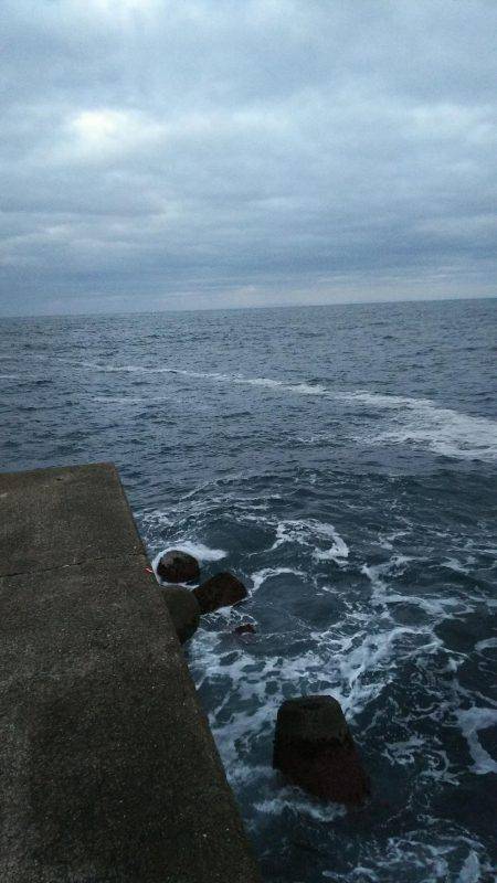 アジング  メバリング？