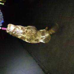 ガシリング2017年1月23日