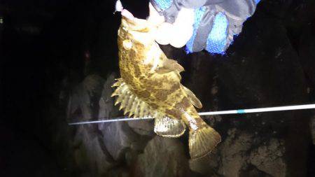 南芦屋浜タケノコメバルガシラ9匹！