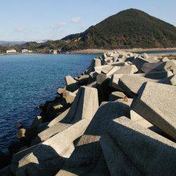 明けましておめでとうございます