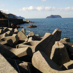 新年早々の投稿