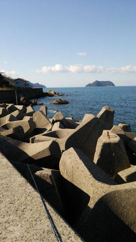 新年早々の投稿