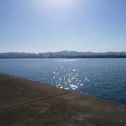 坂ノ市一文字にて