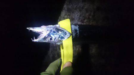 かなり減りました。