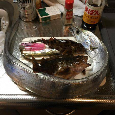 なかなかいい釣果