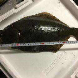 初釣りで、初めてのヒラメget!