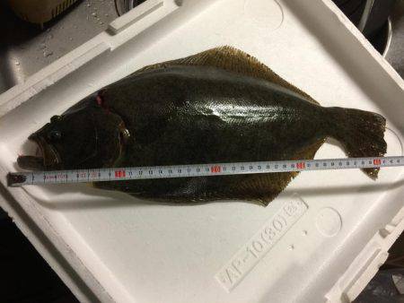 初釣りで、初めてのヒラメget!