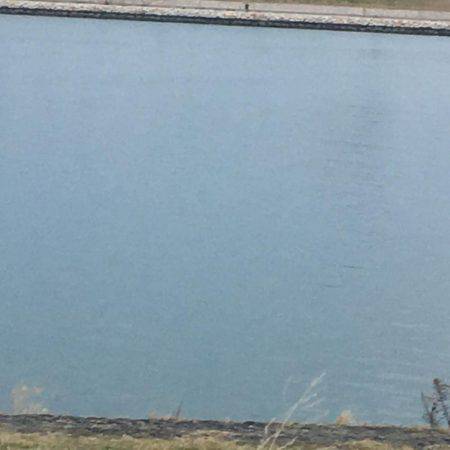 フラフラっとフィッシュ