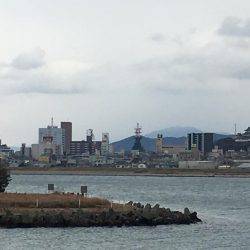 フラットフィッシュ