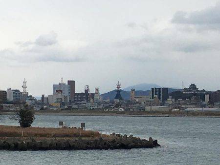 フラットフィッシュ