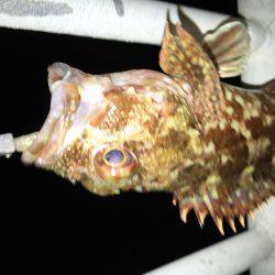 寒さに負けません