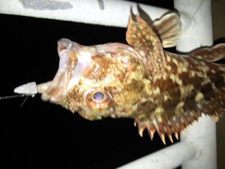 寒さに負けません