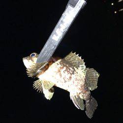 釣り初め、1投目からイキナリ…