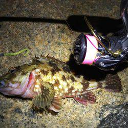 確実に鈍っている！