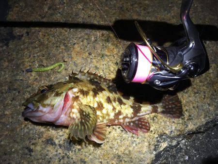 確実に鈍っている！