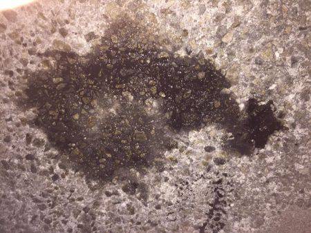 今年は少ない？