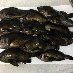 メバリング遠征