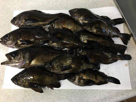 メバリング遠征