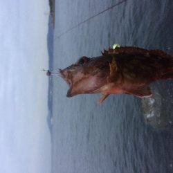 メバリングのはずが