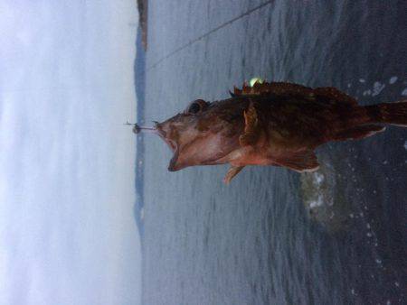 メバリングのはずが