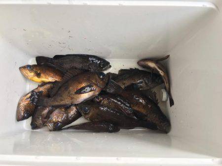 大晦日メバリング