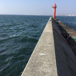 ショアジギング