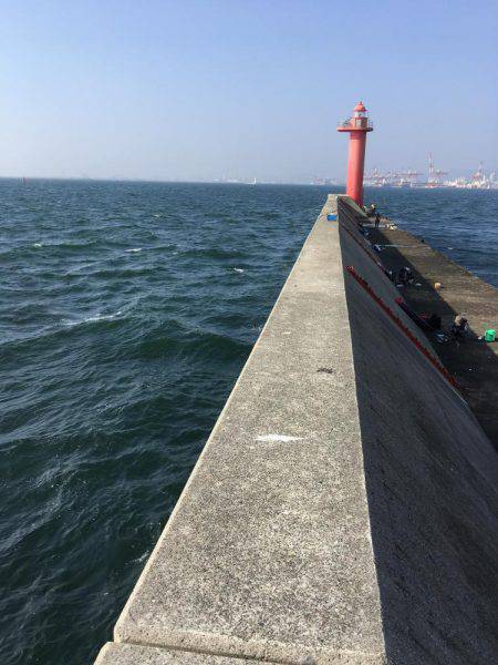 ショアジギング