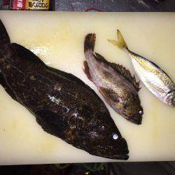 尺タケノコメバル