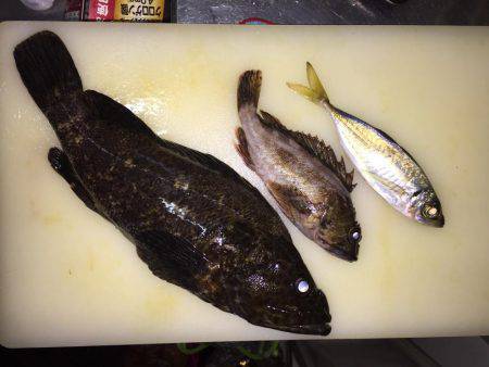 尺タケノコメバル