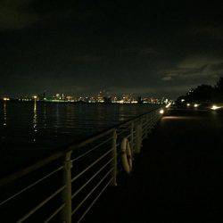 コスモスクエア〜ATC裏 ランガン