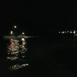 メバルの活性あがってきました！