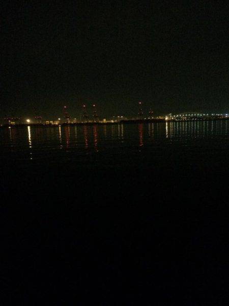 今さらながら初釣りに